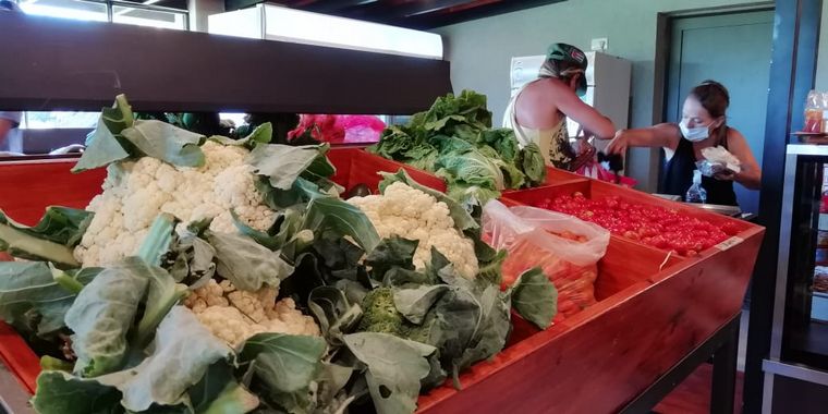 Aloe, producción y consumo consciente y responsable en Traslasierra