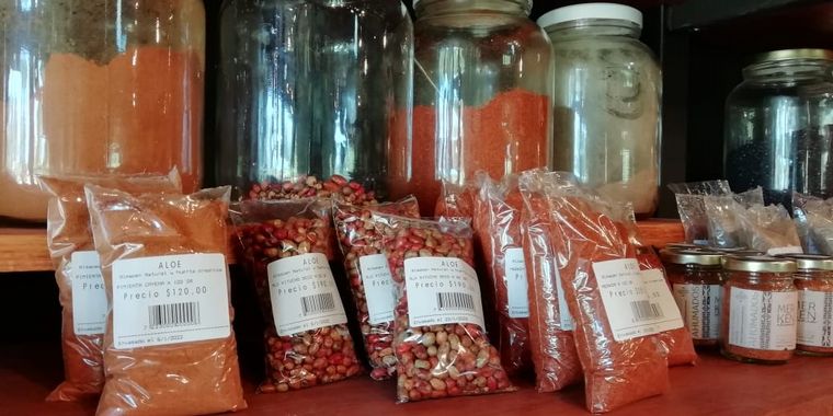 Aloe, producción y consumo consciente y responsable en Traslasierra