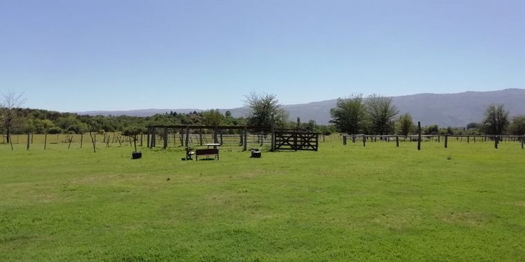 La Granja El Aromo, una experiencia natural a caballo
