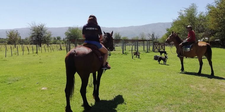 La Granja El Aromo, una experiencia natural a caballo