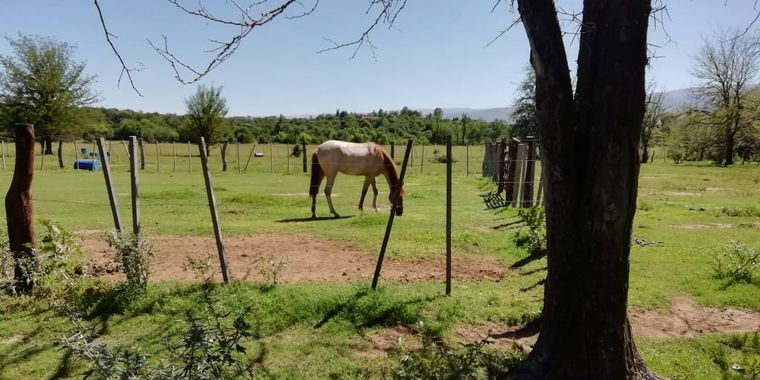 FOTO: La Granja El Aromo, una experiencia natural a caballo