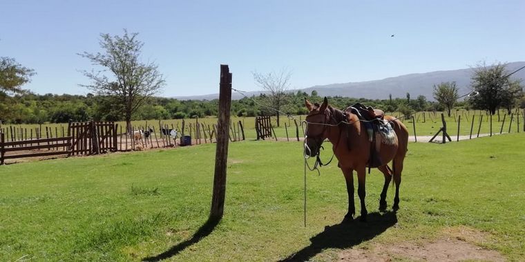 FOTO: La Granja El Aromo, una experiencia natural a caballo