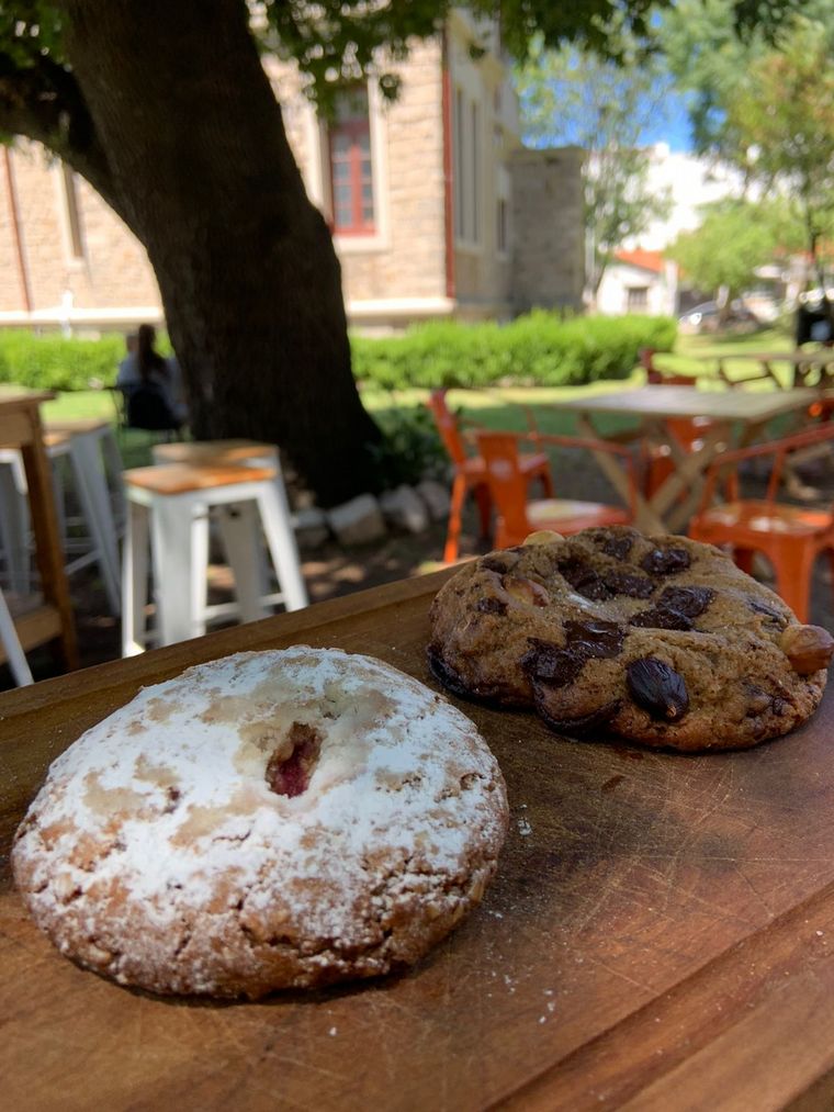Botánico, un nuevo espacio gastronómico en Villa Santa Paula