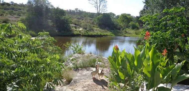 a de los Pajaritos fue distinguida en 2008 como la 7° Maravilla Natural.