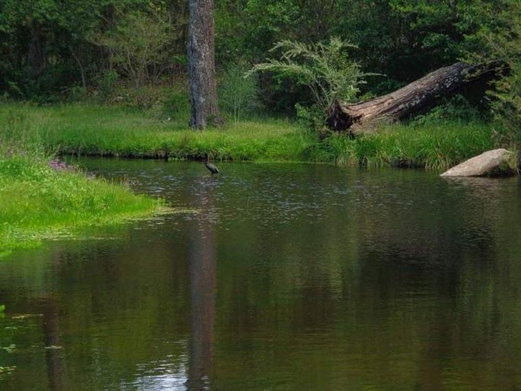 a de los Pajaritos fue distinguida en 2008 como la 7° Maravilla Natural.