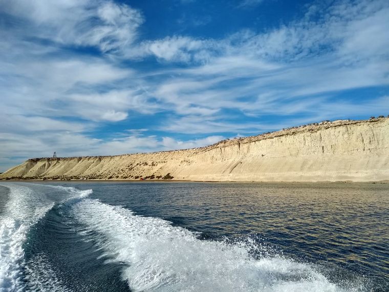 FOTO: Un lugar para bucear con lobos marinos en Puerto Madryn