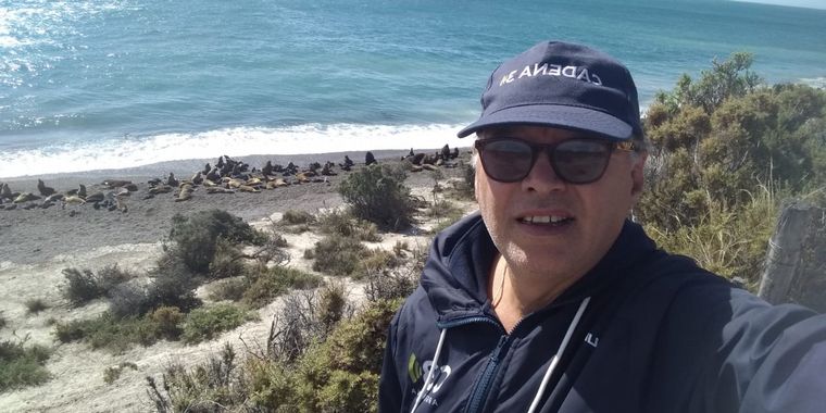 Lobos marinos en Península Valdés