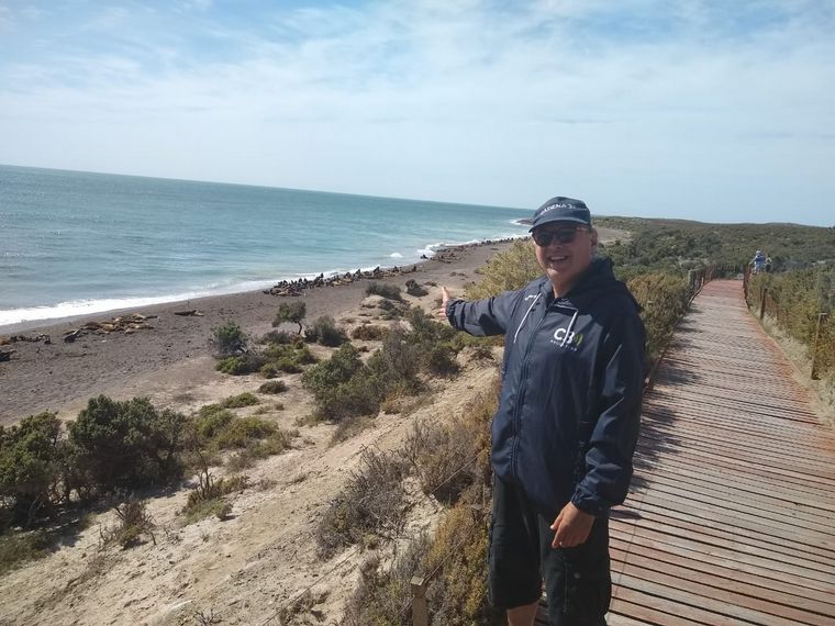 Lobos marinos en Península Valdés