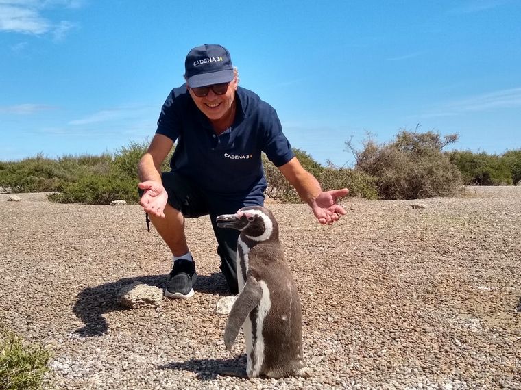 Las pingüineras en Estancia San Lorenzo