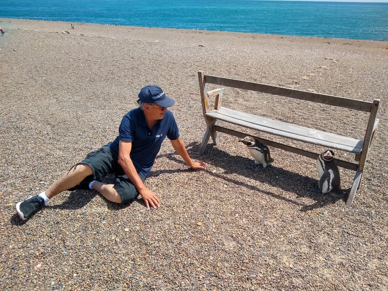 Las pingüineras en Estancia San Lorenzo