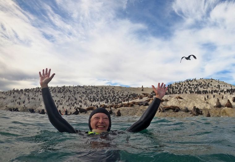 Orlando buceó con los lobos marinos.