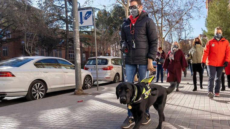 FOTO: Xabat el primer perro guía en asistir a una persona ciega y sin brazos