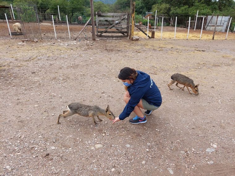 Tatú Carreta, una reserva natural de mas de 60 hectáreas