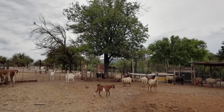 Tatú Carreta, una reserva natural de mas de 60 hectáreas