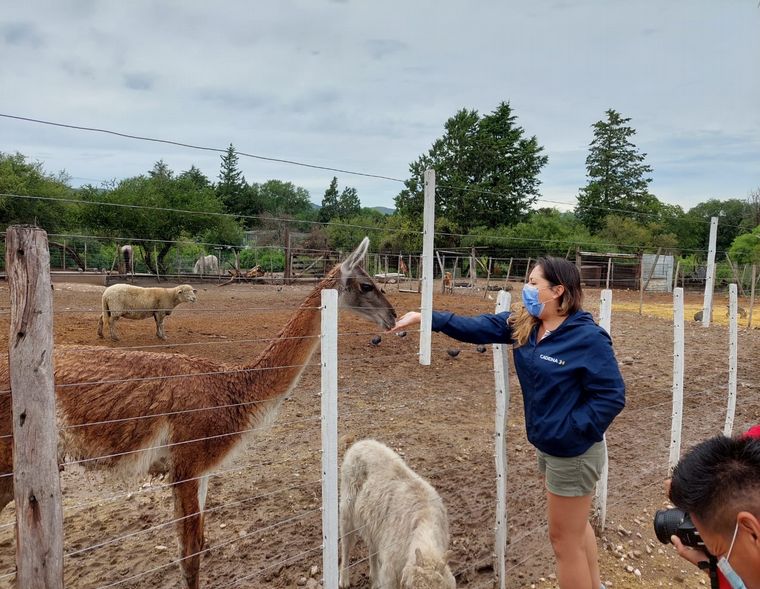 Tatú Carreta, una reserva natural de mas de 60 hectáreas