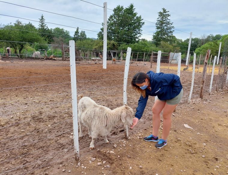 Tatú Carreta, una reserva natural de mas de 60 hectáreas