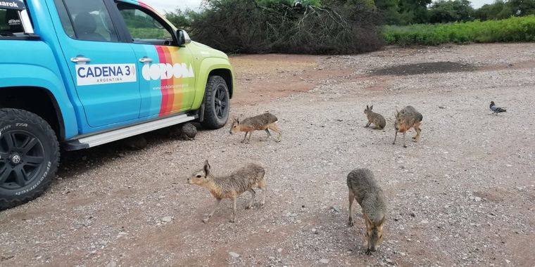 Tatú Carreta, una reserva natural de mas de 60 hectáreas