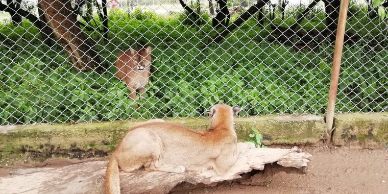 Tatú Carreta, una reserva natural de mas de 60 hectáreas