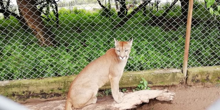Tatú Carreta, una reserva natural de mas de 60 hectáreas