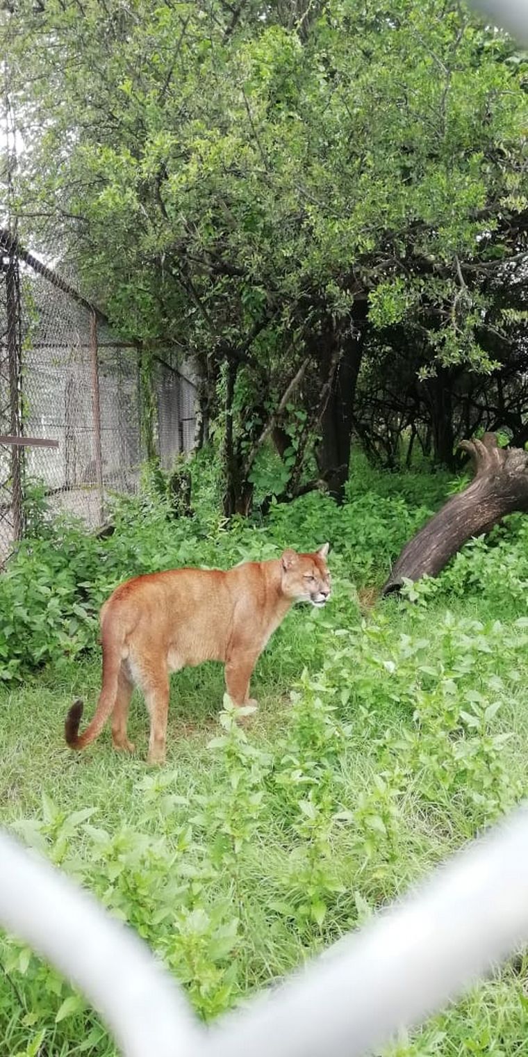Tatú Carreta, una reserva natural de mas de 60 hectáreas
