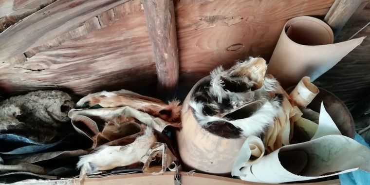 Darío Farías, el luthier de Casa Grande