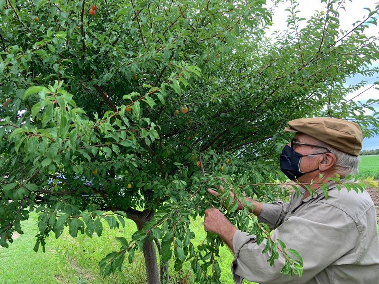 Finca Rosel, para desconectarse y vivir la naturaleza