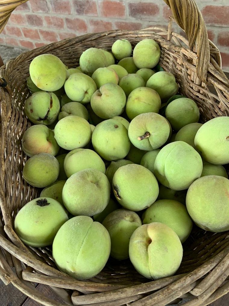 Finca Rosel, para desconectarse y vivir la naturaleza