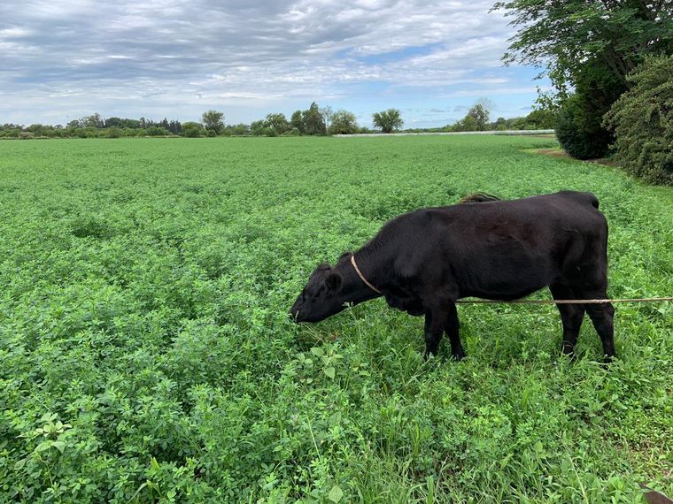 Finca Rosel, para desconectarse y vivir la naturaleza
