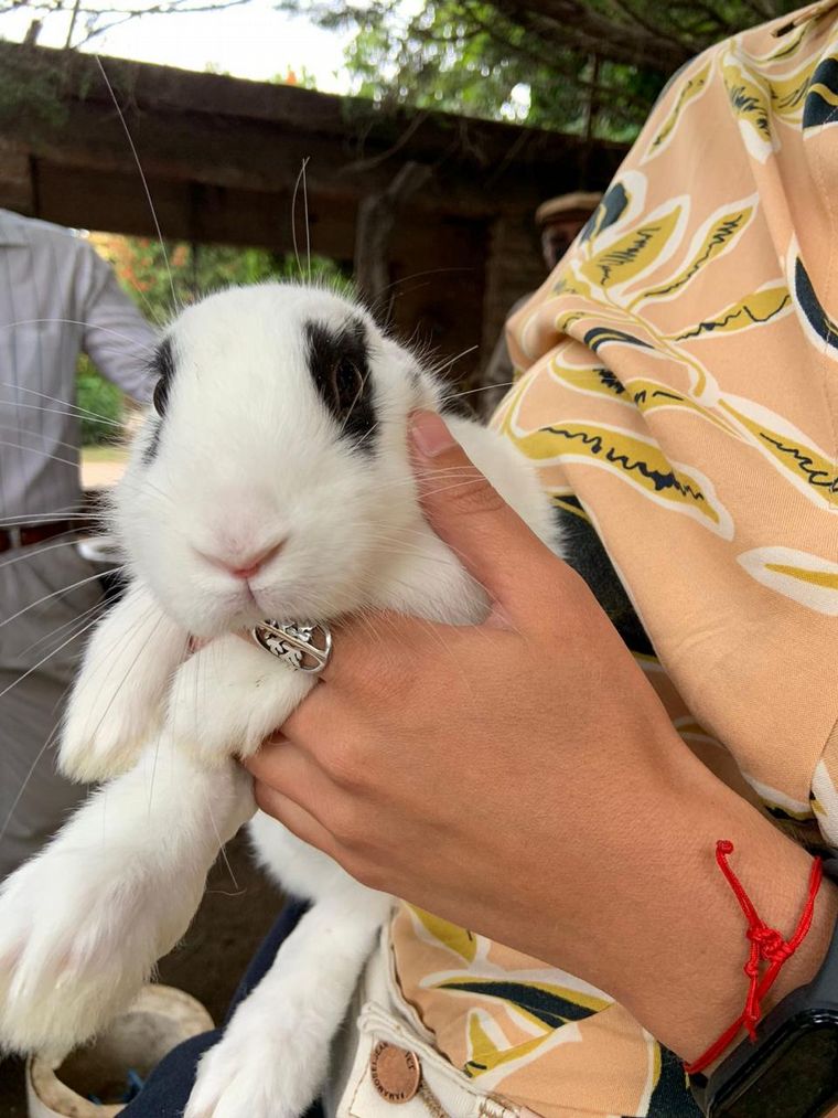 Finca Rosel, para desconectarse y vivir la naturaleza