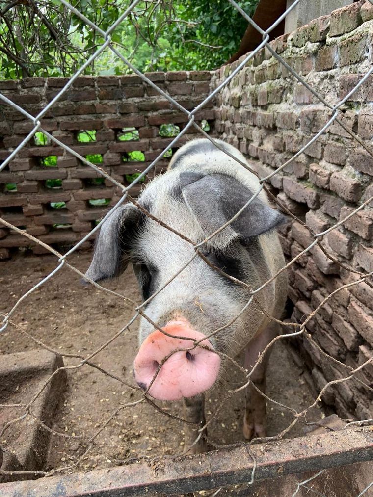 Finca Rosel, para desconectarse y vivir la naturaleza