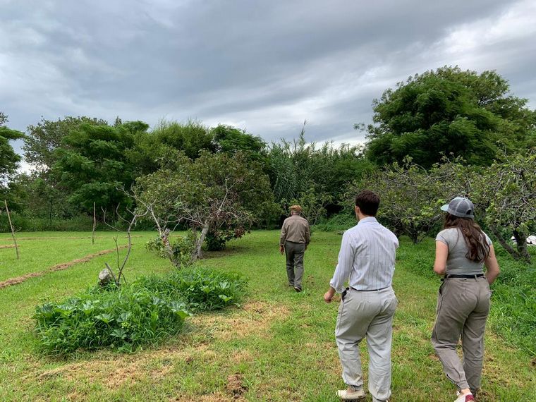 Finca Rosel, para desconectarse y vivir la naturaleza