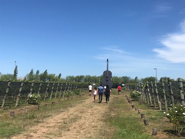 La Urumpta, un nuevo viñedo y bodega en Río Cuarto