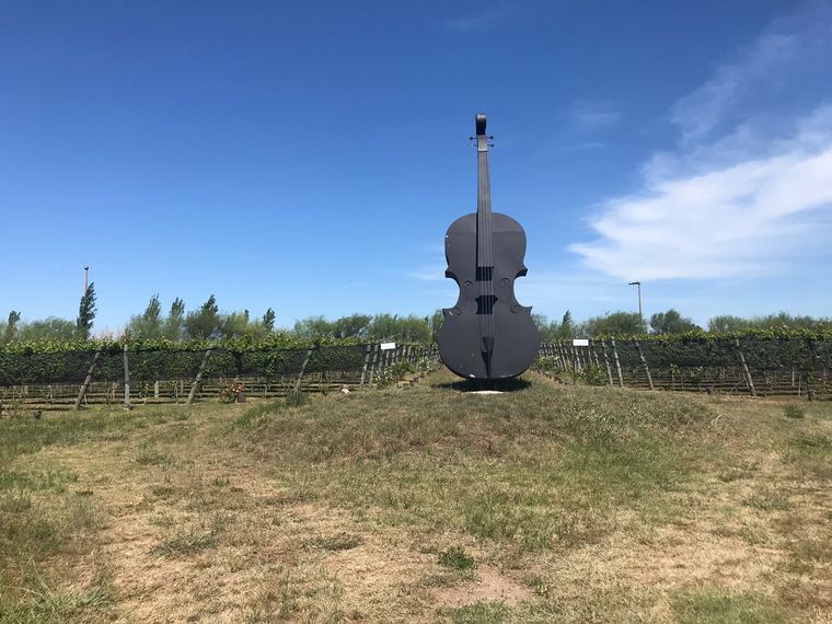 La Urumpta, un nuevo viñedo y bodega en Río Cuarto