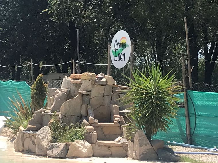 Edén: arborismo, pileta y granja educativa