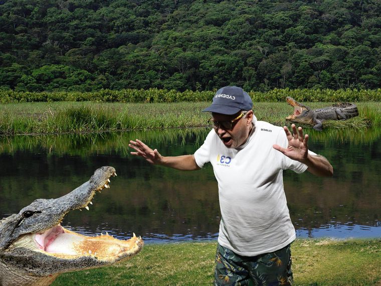 Acuario Oceánico, una de las grandes atracciones de Camboriú