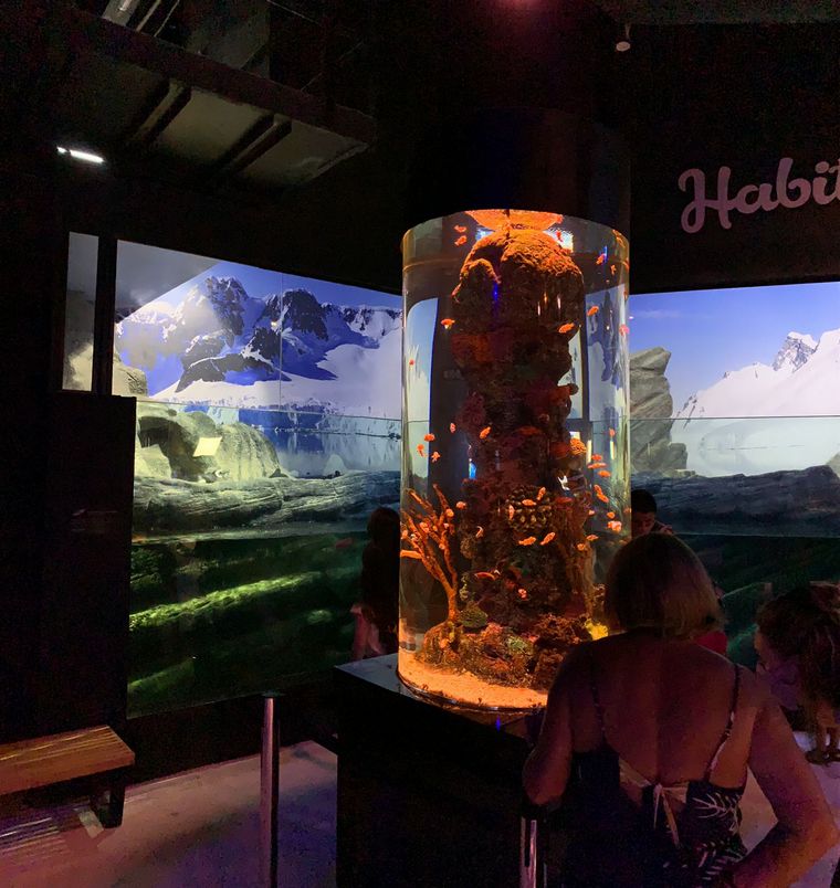 Acuario Oceánico, una de las grandes atracciones de Camboriú