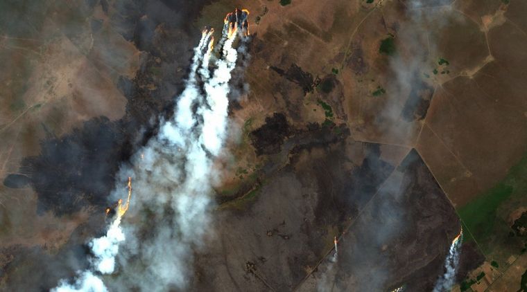 Incendios en Corrientes (Foto: @AMBLUISM)