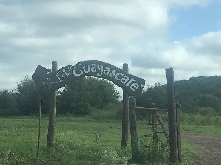 AUDIO: Estancia Guayacaste: paz y tranquilidad en el norte cordobés