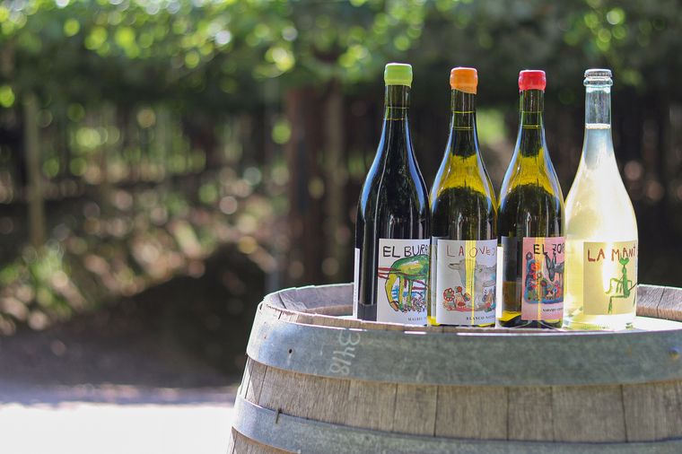 FOTO: Cuatro etiquetas conforman la línea de vinos naturales de la bodega.