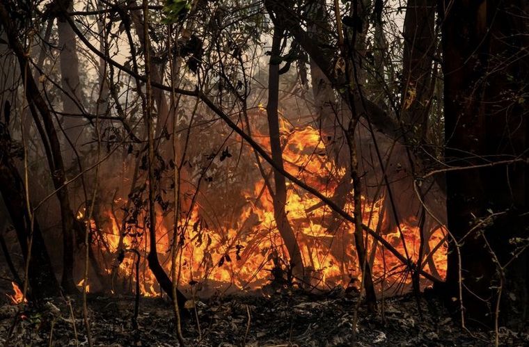 Los incendios en Corrientes alcanzaron los Esteros del Iberá