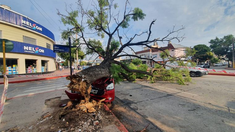 Impactó fuertemente contra un árbol y salió ileso de milagro