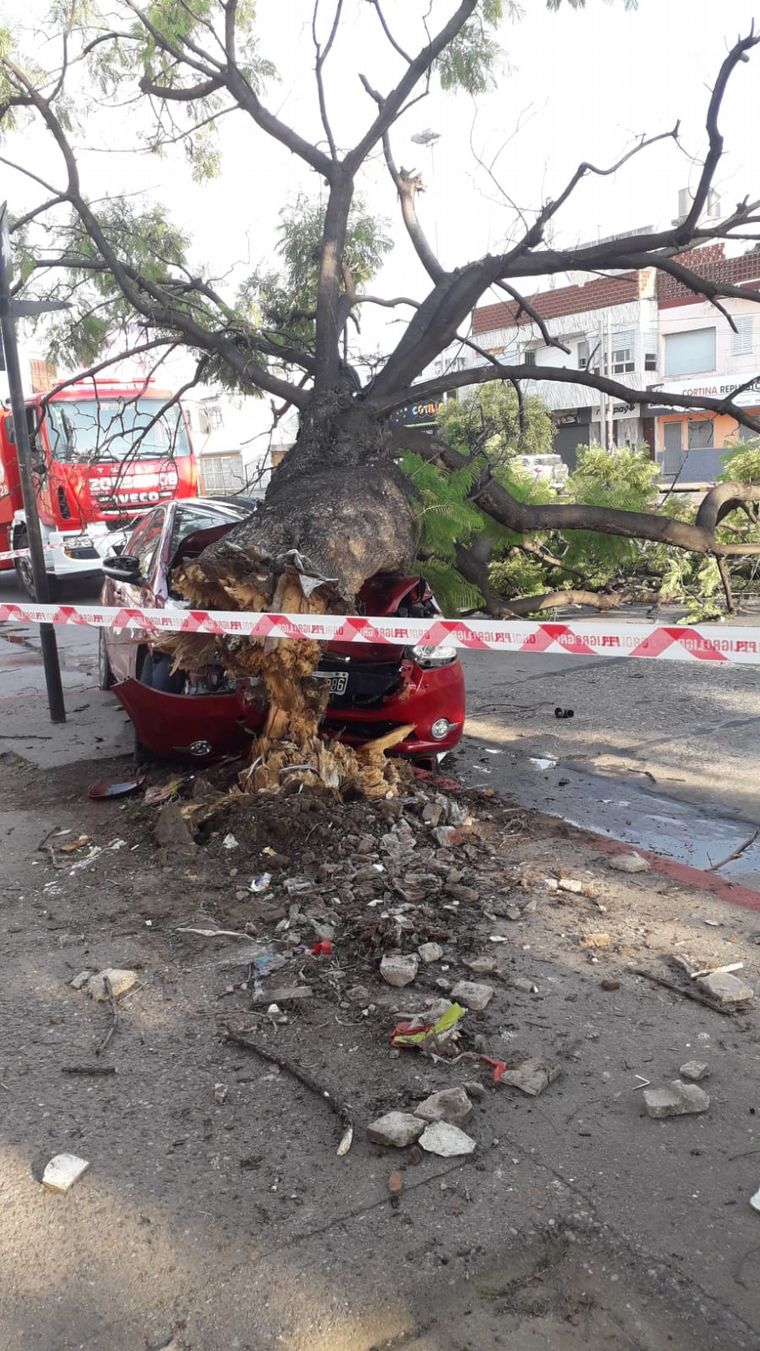 Impactó fuertemente contra un árbol y salió ileso de milagro