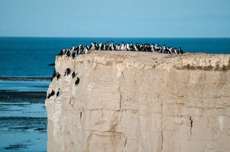 Un espectáculo natural. Foto: comodoroturismo.gob.ar