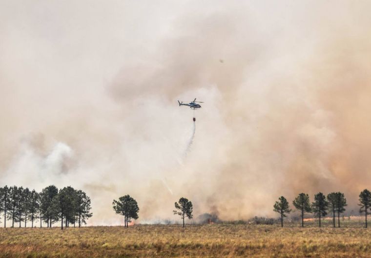 Incendios: gobernador de Corrientes habló con el Presidente.