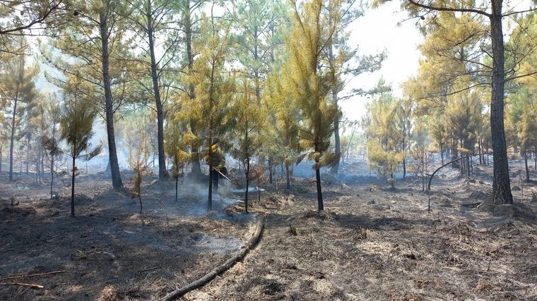 Los incendios en Corrientes ya consumieron más de 800 mil hectáreas.