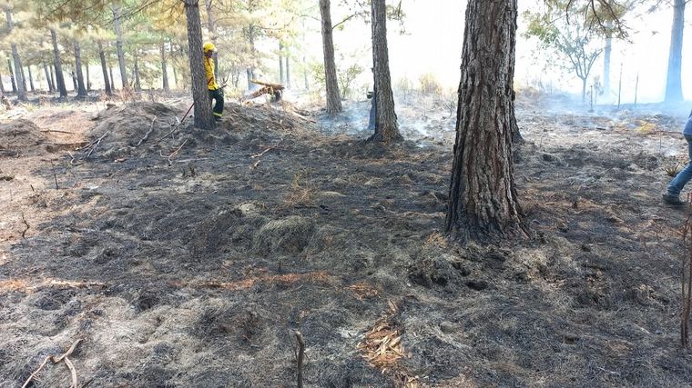 Los incendios en Corrientes ya consumieron más de 800 mil hectáreas.