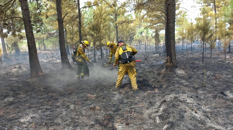 Los incendios en Corrientes ya consumieron más de 800 mil hectáreas.