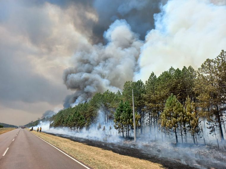 FOTO: Los incendios en Corrientes ya consumieron más de 800 mil hectáreas.