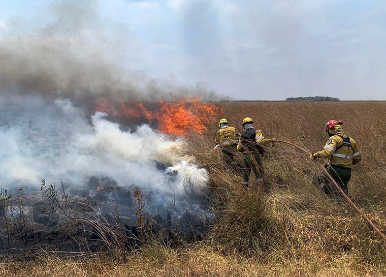 Los incendios en Corrientes ya consumieron más de 800 mil hectáreas.