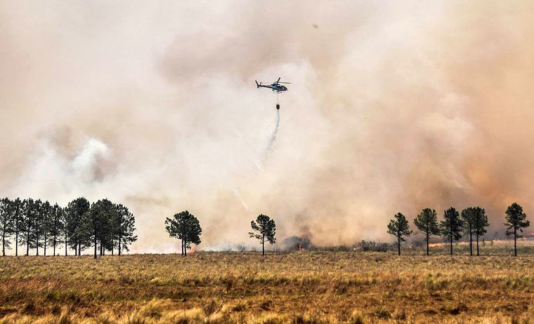 FOTO: Los incendios en Corrientes ya consumieron más de 800 mil hectáreas.